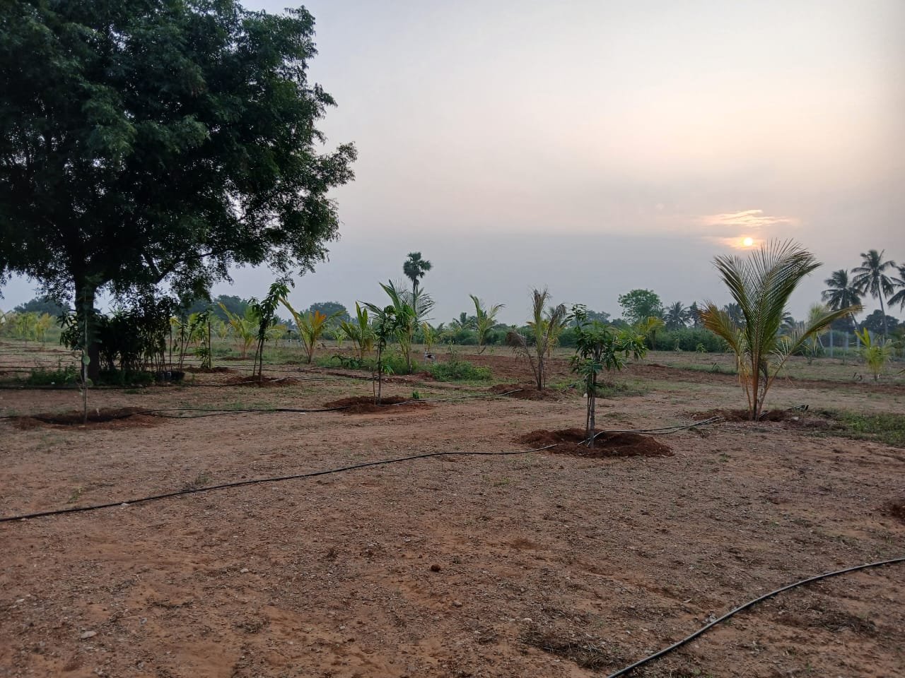 Farm Land Trichy - 9